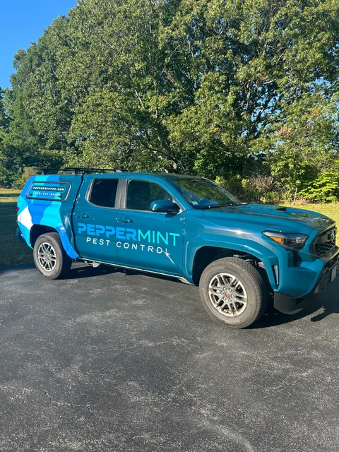 Peppermint Pest Control work photo