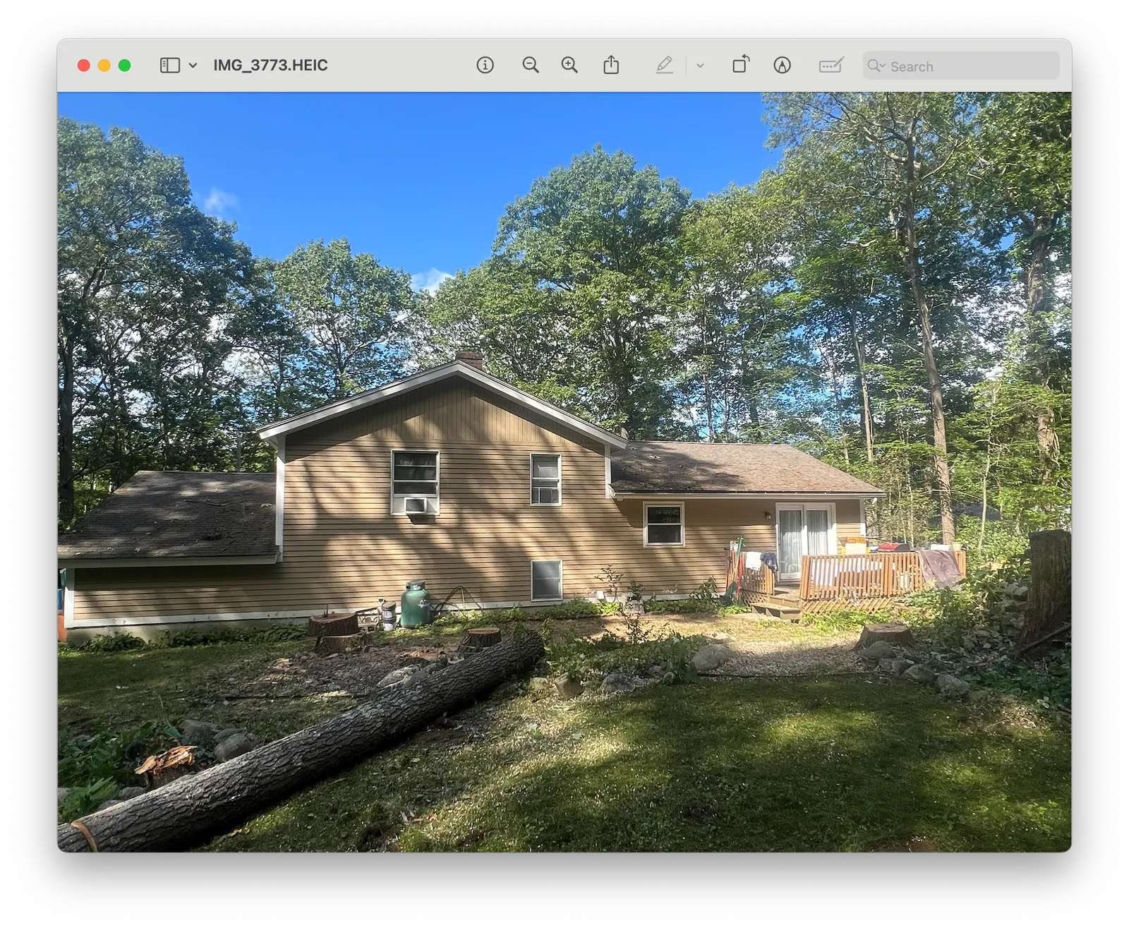 work photo from Google listing