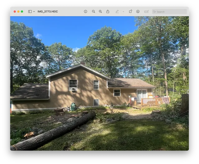 work photo from Google listing