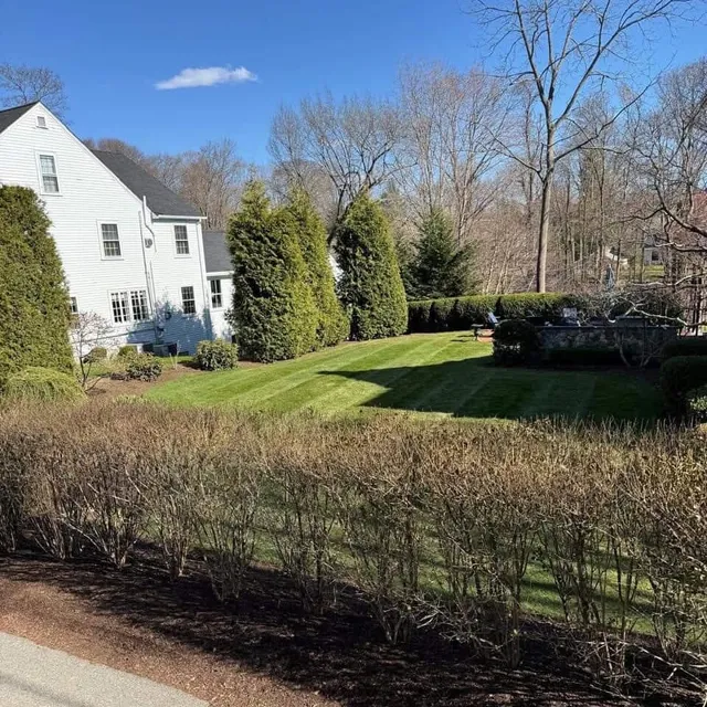 Maintained lawn, hedges and plantings on a residential property