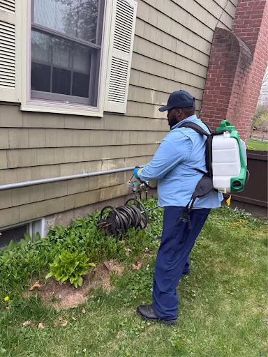 Moxie Pest Control work photo