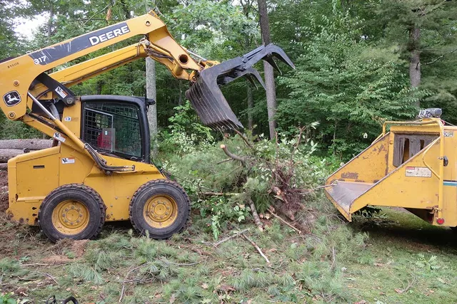 work photo from clearviewtreeserv.com