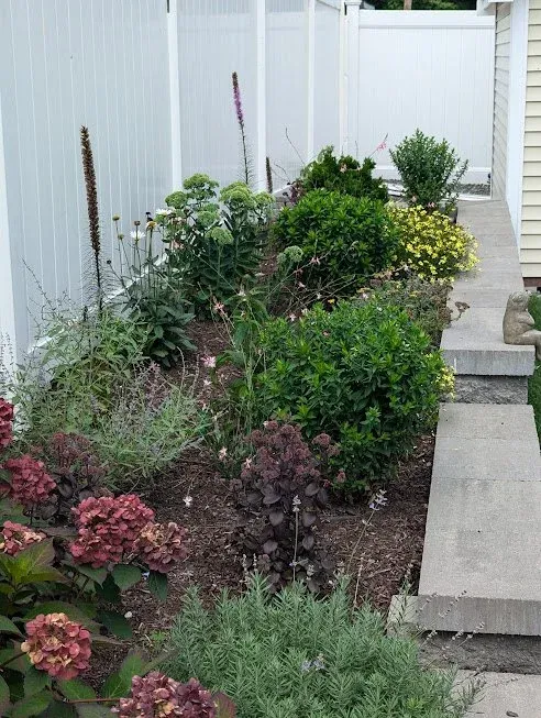 Garden bed along stone wall with various perennial flowers
