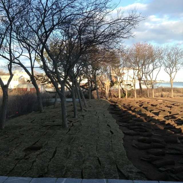 Labriola Landscaping, LLC researched project photo