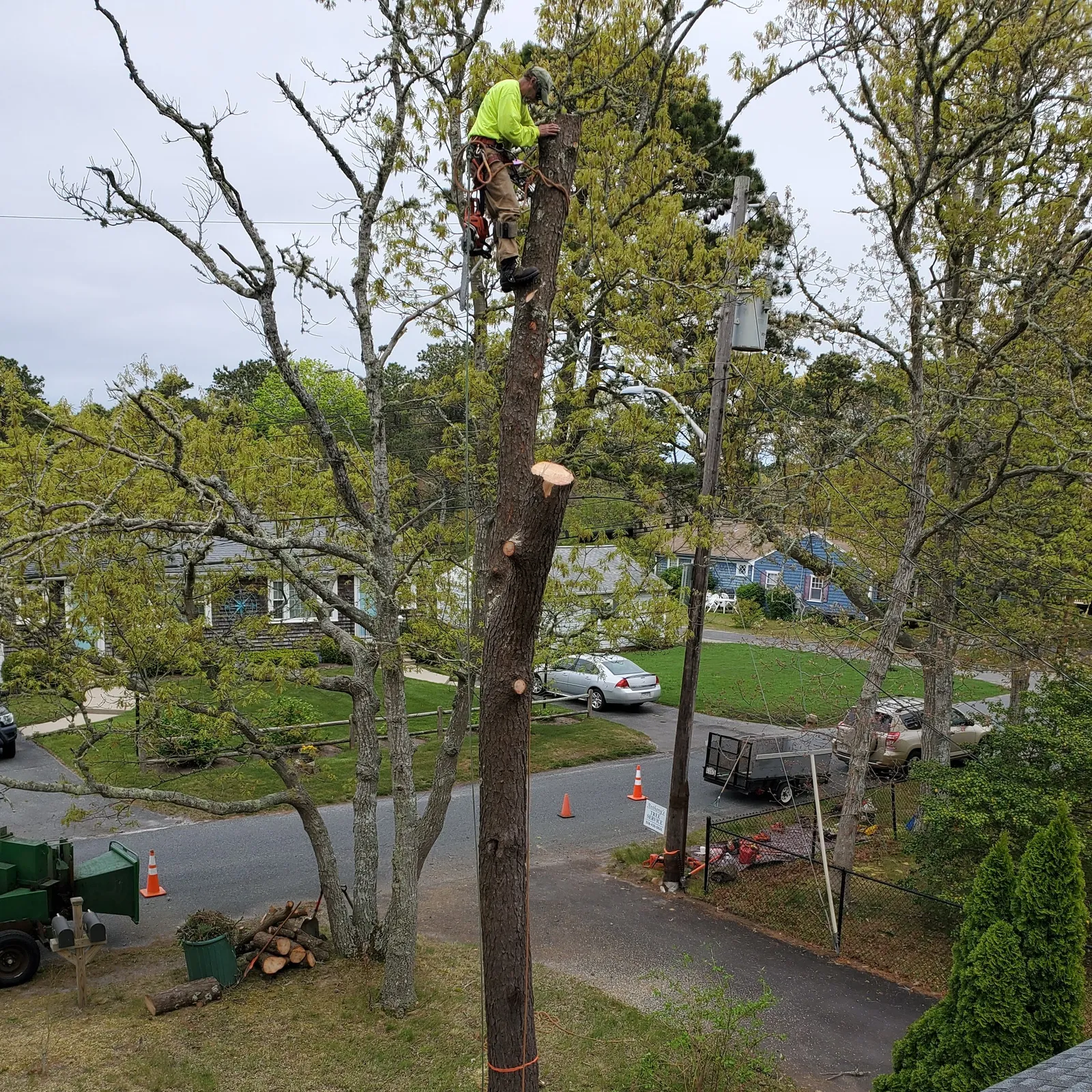 work photo from Google listing