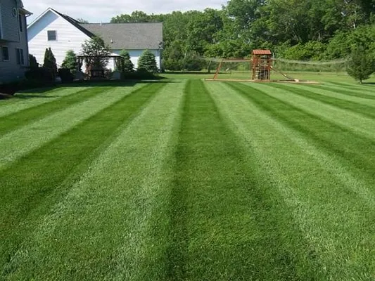 work photo from nrilandscaping.com