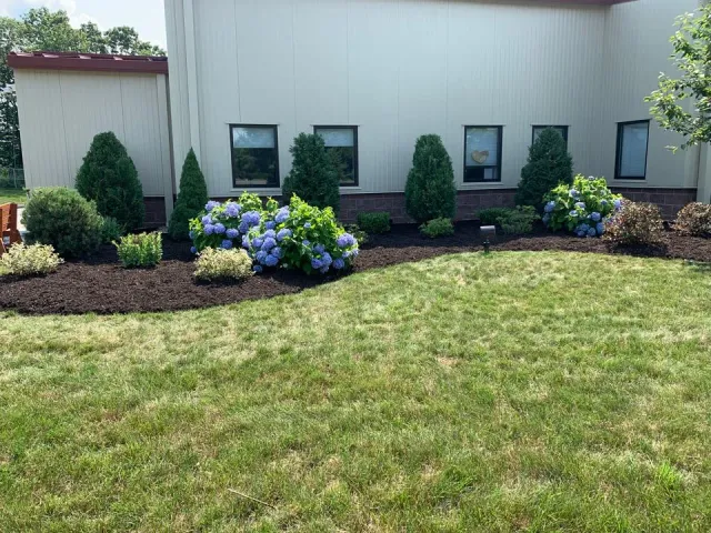 work photo from nclandscape.net