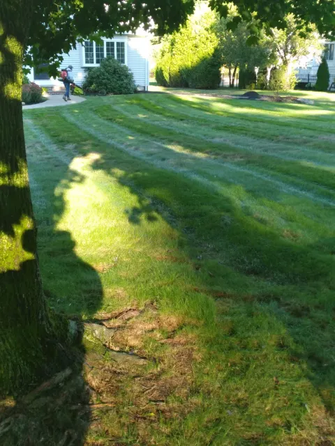 work photo from leonels-landscaping.com