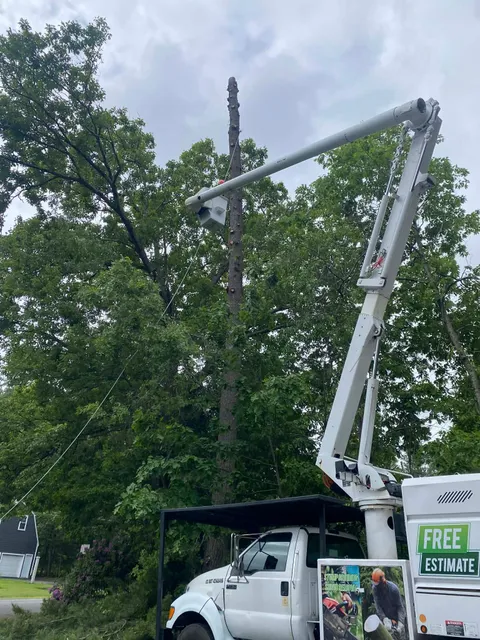 White bucket truck with raised boom parked by trees; green “Free Estimate” sign visible.