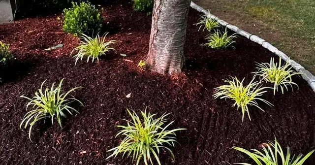 work photo from milfordqualitylandscaping.com