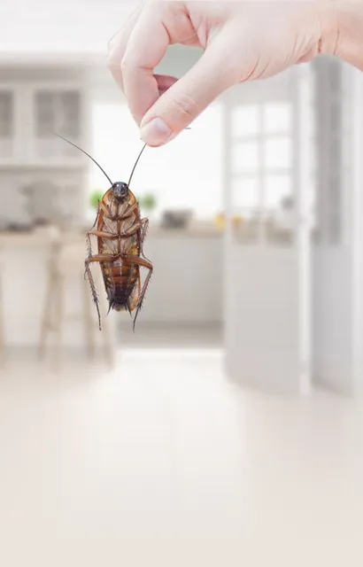 Green Pest control