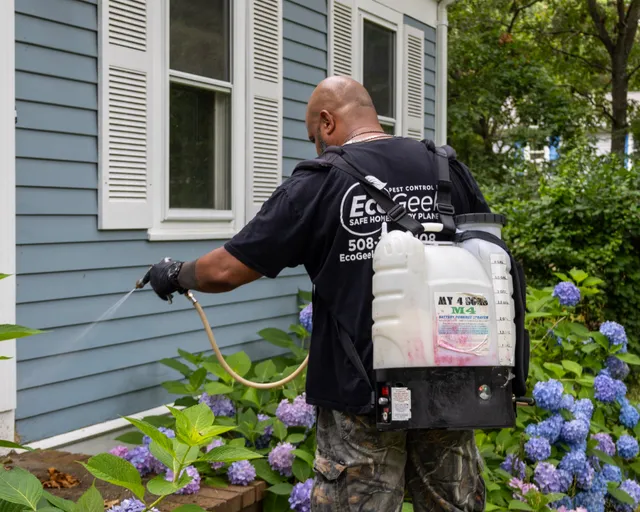 EcoGeek Pest Control Cape Cod work photo