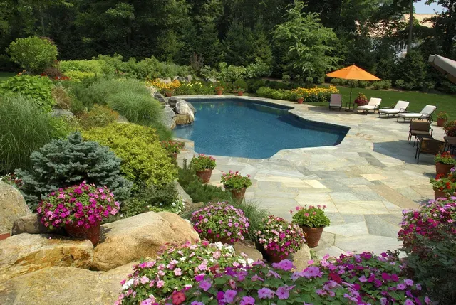 Oasis Pools