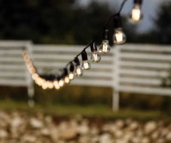 light bulbs with yellow