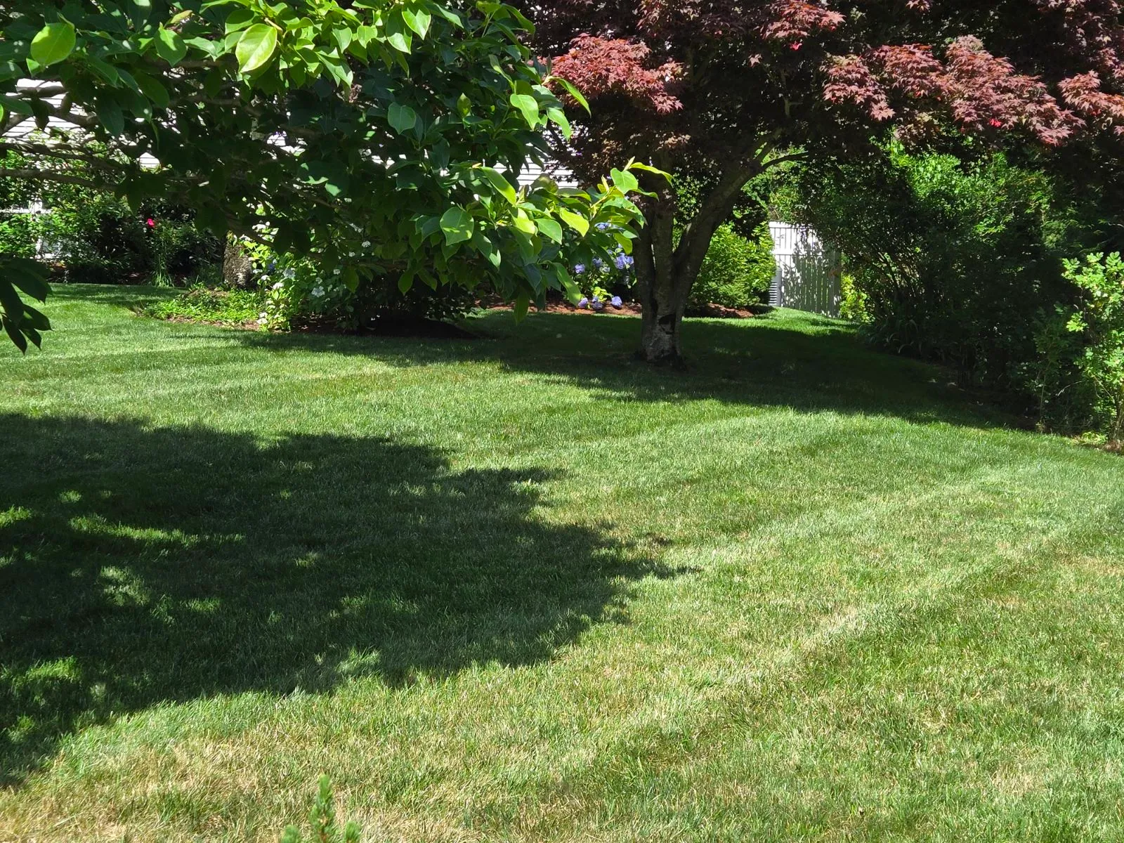 work photo from lawnsnmoreinc.com