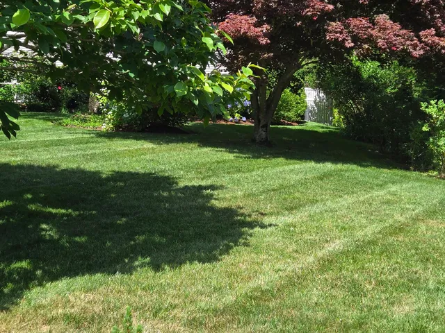 work photo from lawnsnmoreinc.com