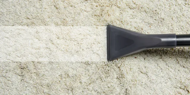 work photo from romancarpetcleaningservice.com