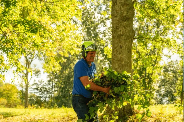 work photo from brtreeservicema.com