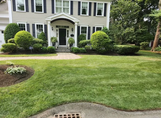 Morales Landscaping Llc work photo