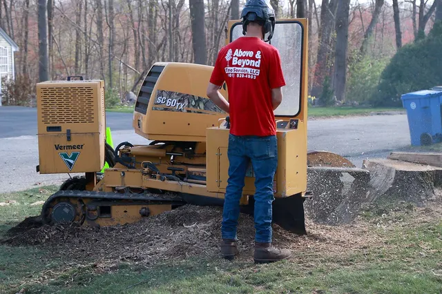 work photo from aboveandbeyond-treeservice.com