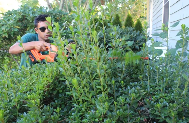 A man wearing sunglasses trims bushes with an orange cordless hedge trimmer in a backyard garden.