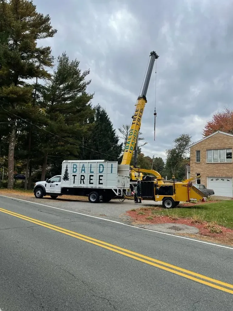Crane Service