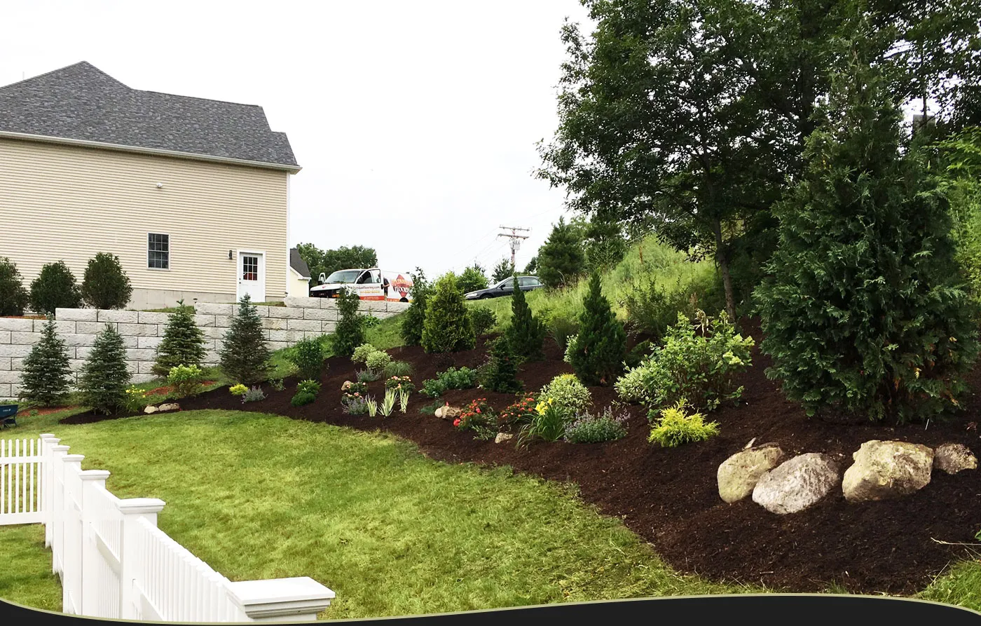Design your perfect Lexington landscape