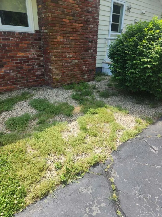 work photo from jvicklawncare.com
