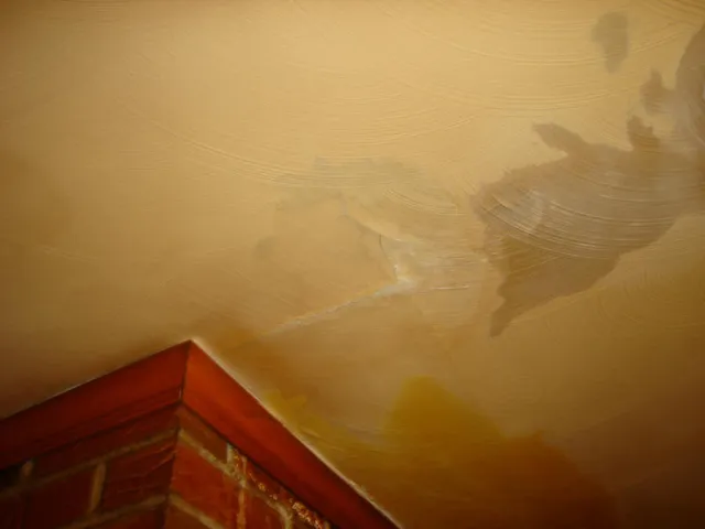 work photo from exclusivepaintingonline.com