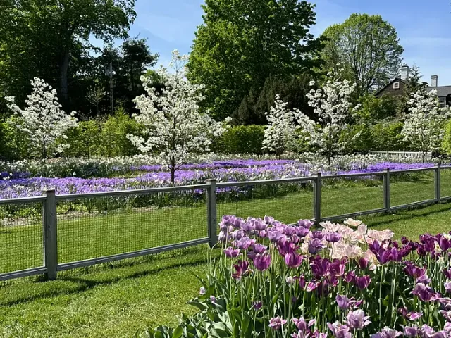 GRAZE lawn & garden work photo