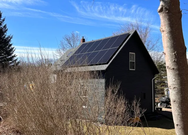 A house with black siding and solar panels on the roof, surrounded by leafless bushes and trees under a clear blue sky.