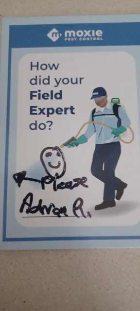 work photo from Google listing