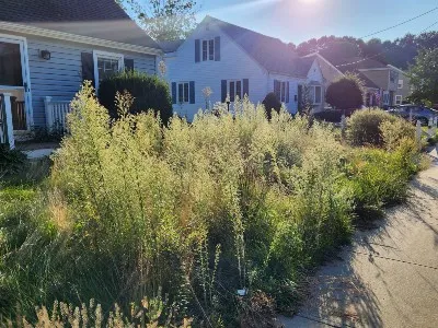 Lawn Repair in Brookline