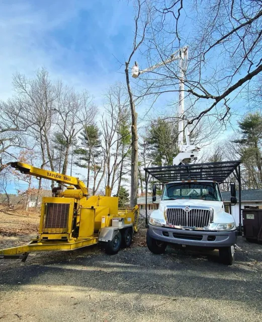 Taylor Tree Service provides tree removal, tree trimming, stump grinding services to MA Hampden County, Hampshire County, lower Berkshire and Worcester County as well as Hartford County and Tolland County CT.
