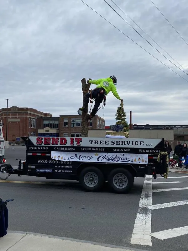 work photo from sendittreeservice.com