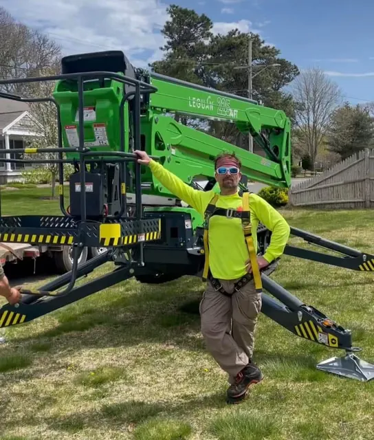 Shannon Tree Service work photo