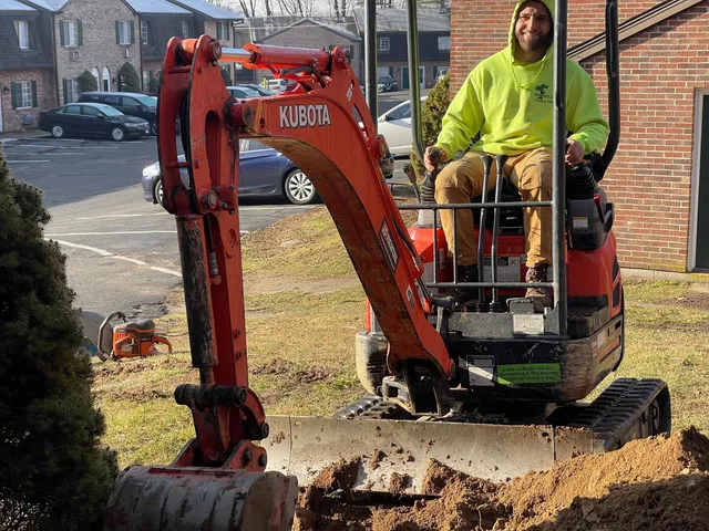 Brissett's Tree Removal work photo