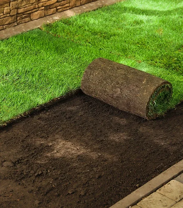 Welcome to De'Angele Landscape & Construction