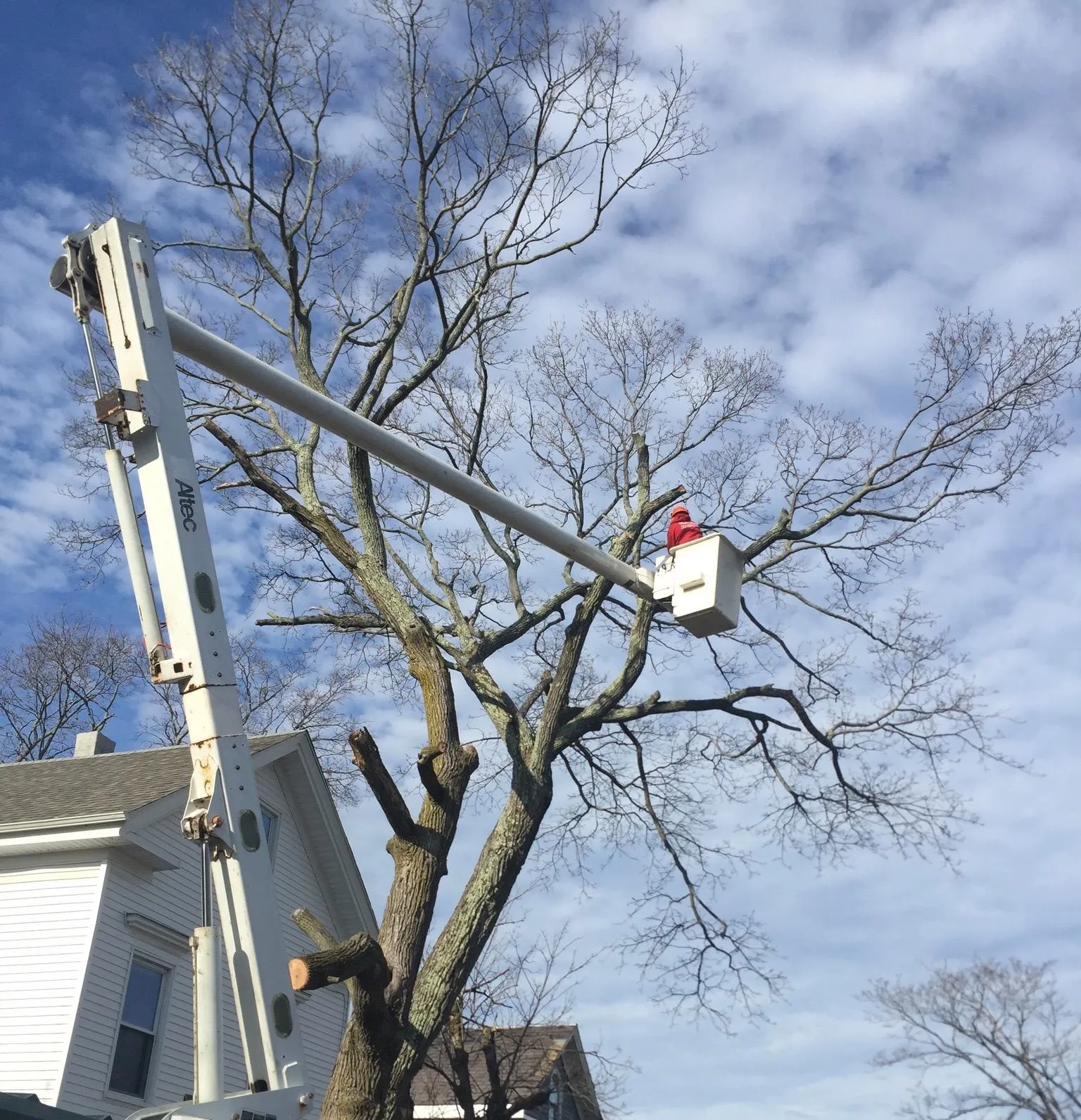 S J Tree Landscaping and Snow Removal Corp