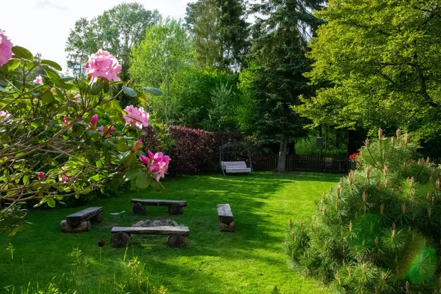 The Grass Is Always Greener Lawn Care Company work photo