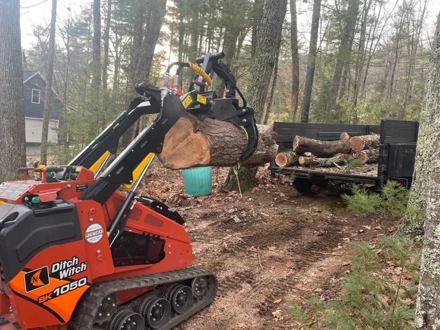 J.D. Pasquale tree service “Arborist” work photo