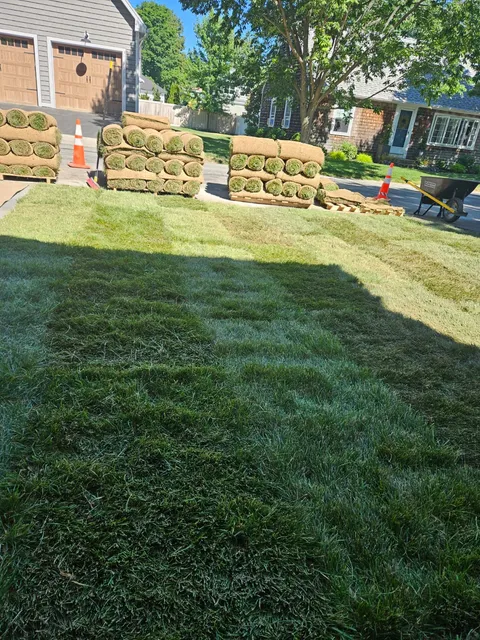 Calis Lanscaping & Construction LLC