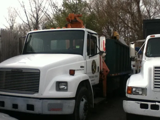 Tree Care
