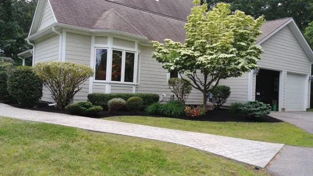 Planting