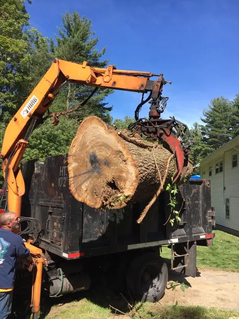 Branch Manager Tree Service