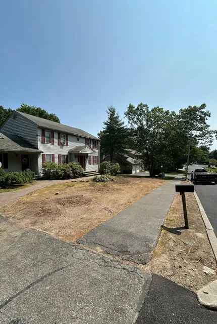 Super Service Tree And Landscape work photo