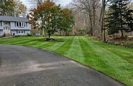 lawn pic.jpg