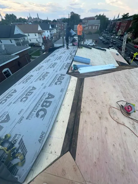 LANC project 7