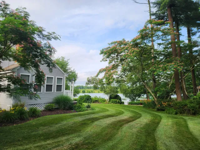 A scenic backyard with a well-maintained green lawn, trees with pink flowers, a white house with multiple windows, near a body of water with trees and a cloudy blue sky in the background.