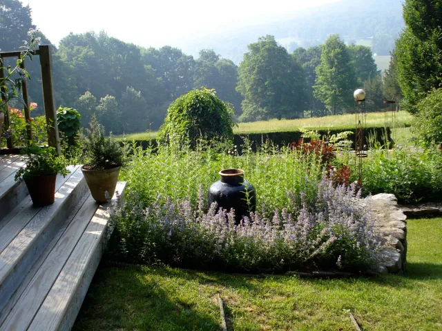 A lush green garden with potted plants on wooden steps, blooming lavender flowers, and a scenic background of trees and rolling hills.